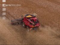 Soya harvest 235