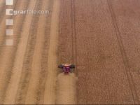 Soya harvest 232