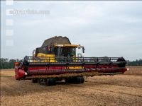 Soya harvest 229