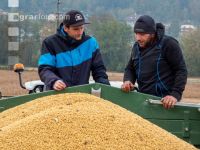 Soya harvest 227