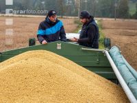 Soya harvest 226
