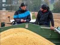 Soya harvest 224