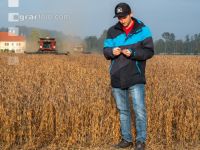Soya harvest 221