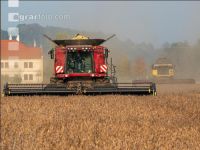 Soya harvest 220