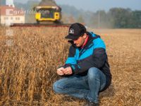 Soya harvest 217