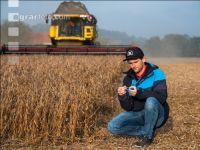 Soya harvest 216