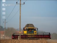 Soya harvest 215
