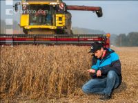 Soya harvest 214