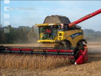 Soya harvest 213