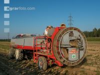 Speisekartoffel Ernte 11