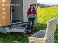 Mobiler Hennenstall 20