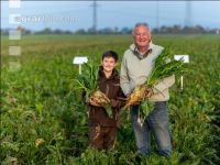 Sugar beet field trial 2