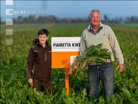 Sugar beet field trial 1