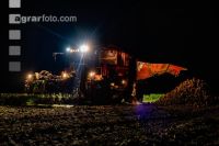 Rübenernte in der Nacht 2