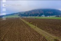 Agroforst anlegen 22