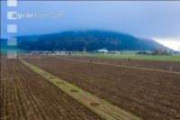 Agroforst anlegen 21