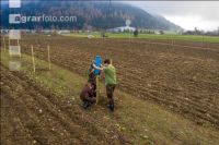 Agroforst anlegen 19