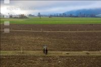 Agroforst anlegen 18