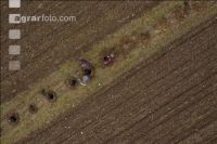 Agroforst anlegen 14