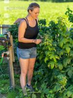 Gartenarbeit 14