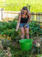 Mulch layer garden 23