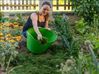 Mulch layer garden 22