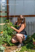 Gartenarbeit 11