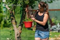 Gartenarbeit 8