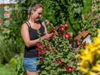 Gartenarbeit 7