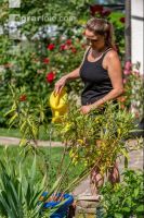 Gartenarbeit 4