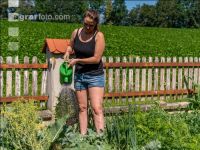 Gartenarbeit 3