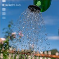 Gartenarbeit 2
