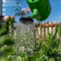 Gartenarbeit 1