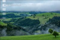 Kühler Sommermorgen 2