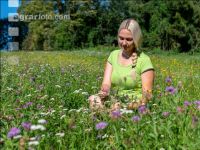 Natural meadow 2