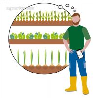 Farms and digitalisation 11