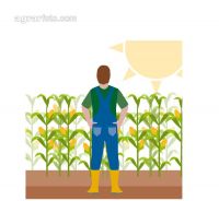 Landwirtschaft und Witterung 1