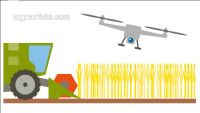 Farms and digitalisation 17