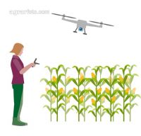 Modern farmer´s wife 6