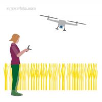 Women as farmers 3
