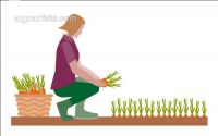 Modern farmer´s wife 5