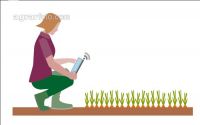 Modern farmer´s wife 1
