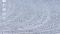 Weizen Schnee Februar 