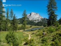 Alpine Region 2