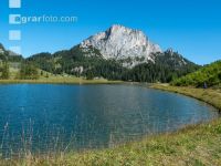 Alpine Region 1