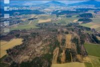 Forest damage by bark beetle 2