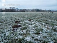 Meadow on New Years day 9
