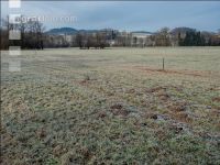 Meadow on New Years day 3