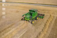 Wheat harvest 239