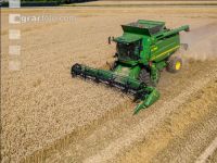 Wheat harvest 238